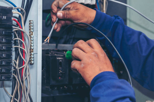 Best Licensed Electrician  in Red Bud, IL