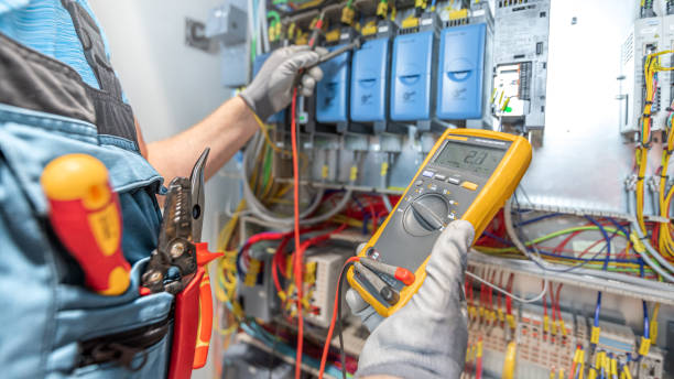 Best Electric Panel Repair  in Red Bud, IL