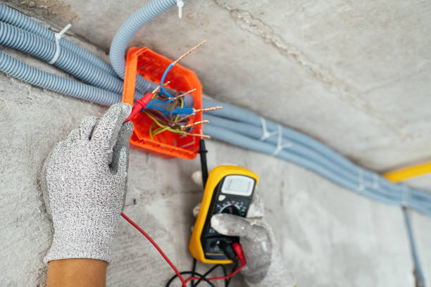 Best Electric Panel Repair  in Red Bud, IL